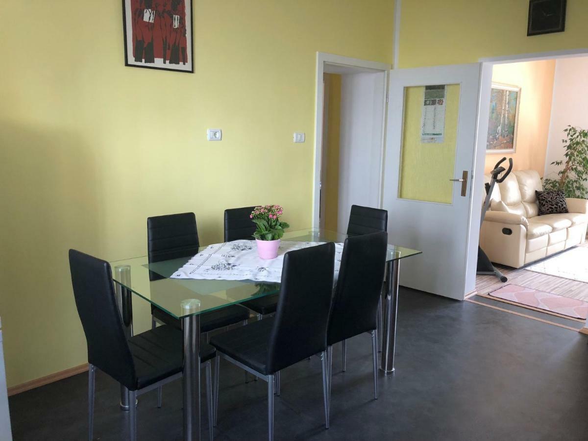 Apartma Mahnic Postojna Exterior photo